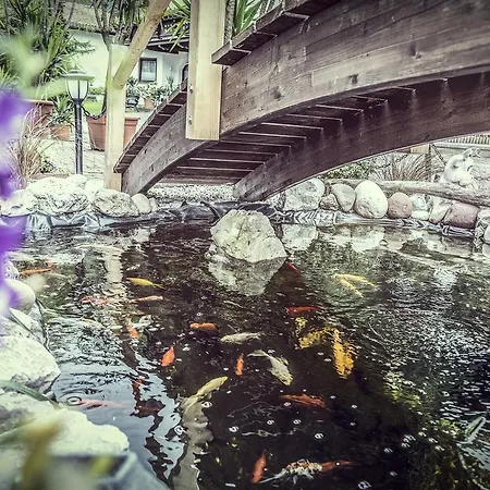 Alpenblick 3* Radfeld