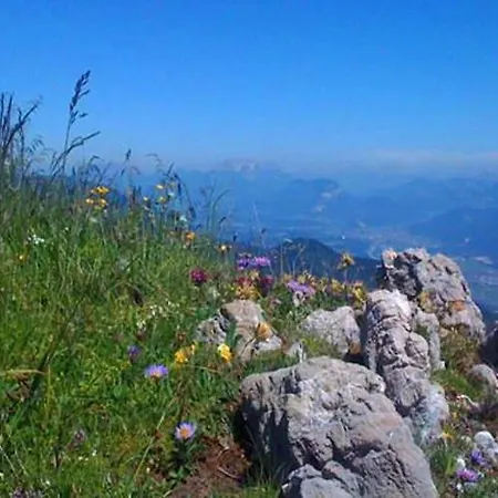 Alpenblick Maison d'hôtes