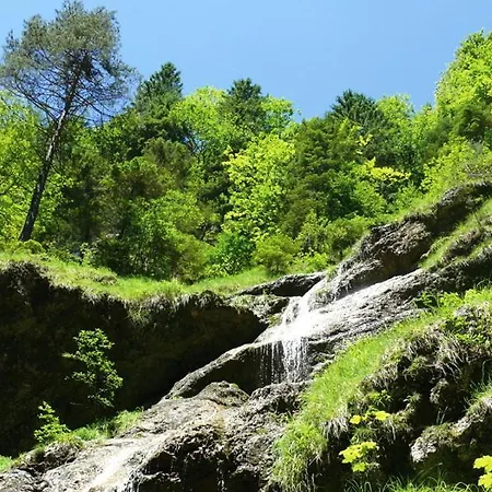 Alpenblick בית הארחה Radfeld