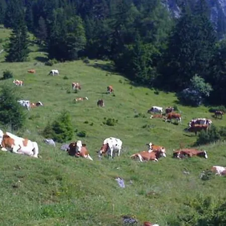 Alpenblick Radfeld